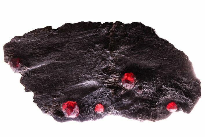 Plate of Six Red Embers Garnets in Graphite - Massachusetts #375779